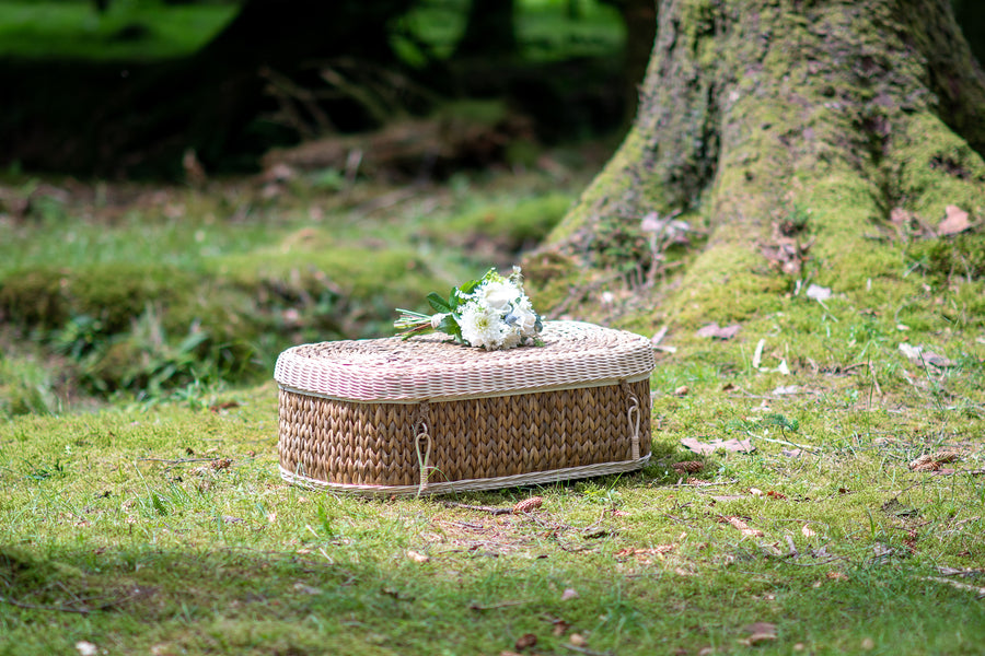 Choosing the Right Pet Coffin